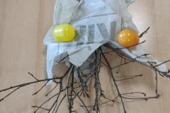 IMG_20250429_072744