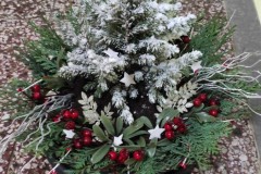 IMG_20211202_074901