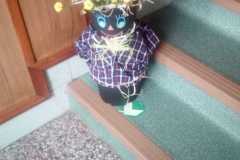 IMG-20201015-WA0001