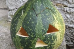IMG_20201006_090724