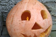 IMG_20201006_090732