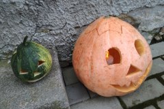 IMG_20201006_090735