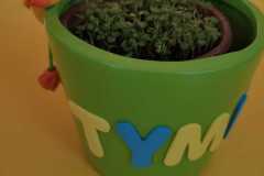 IMG-20220322-WA0002