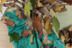 IMG_20211012_074427