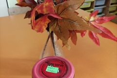 IMG_20211105_082051