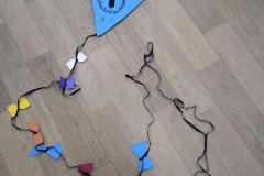 IMG_20261019_072508413_AE