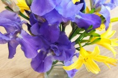 IMG_20220601_074450