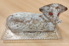 IMG_20220419_074552