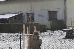 20241121_092726