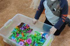 IMG_20250317_075014