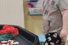 IMG_20250317_075032
