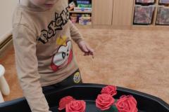 IMG_20250317_082728