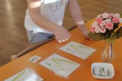 IMG_20250319_065859