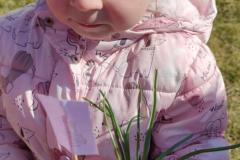 IMG_20250319_102809