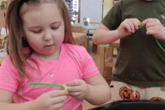 IMG_20250320_070446