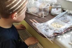 IMG_20250320_082814