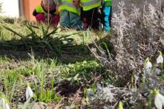 IMG_20250320_104827