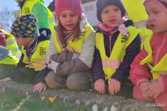 IMG_20250320_105146
