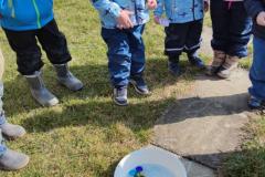 IMG_20250321_102840