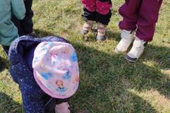 IMG_20250321_103043