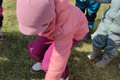 IMG_20250321_103110