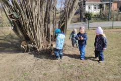 IMG_20250321_103656