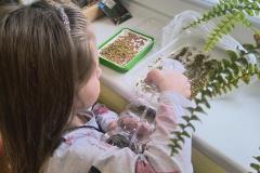 1_IMG_20260312_095000888_HDR_AE