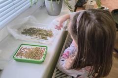 1_IMG_20260312_095004520_HDR_AE