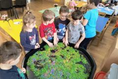 IMG_20260310_074215661_AE