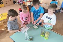 IMG_20260310_101230539_AE