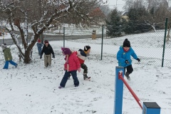 IMG_20221212_105208