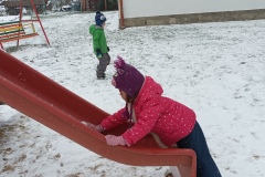 IMG_20221212_105403