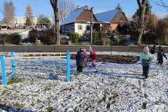 IMG_20241121_101429