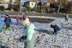 IMG_20241121_101433