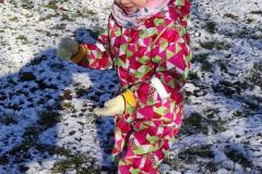 IMG_20241121_101500