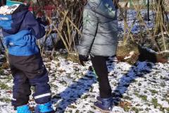 IMG_20241121_101516