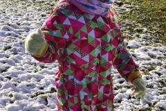 IMG_20241121_101538