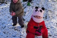 IMG_20241121_101542