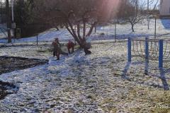 IMG_20241121_101622