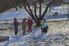 IMG_20241121_101626
