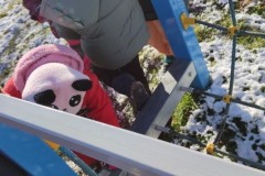 IMG_20241121_101953