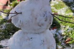 IMG_20241121_105220