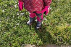 IMG_20241121_105654
