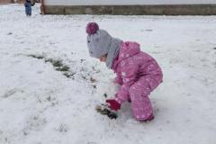 IMG_20251125_104738