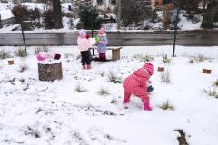 IMG_20251125_105305