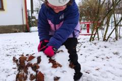 IMG_20251125_105447