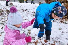 IMG_20251125_105501