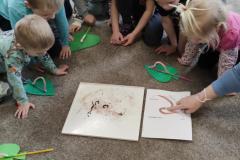 IMG_20250327_094522