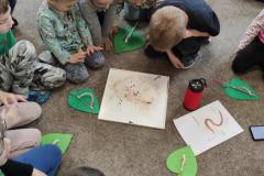 IMG_20250327_095233