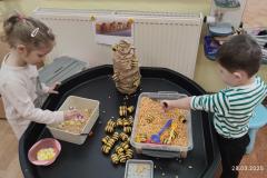 IMG_20250328_073921